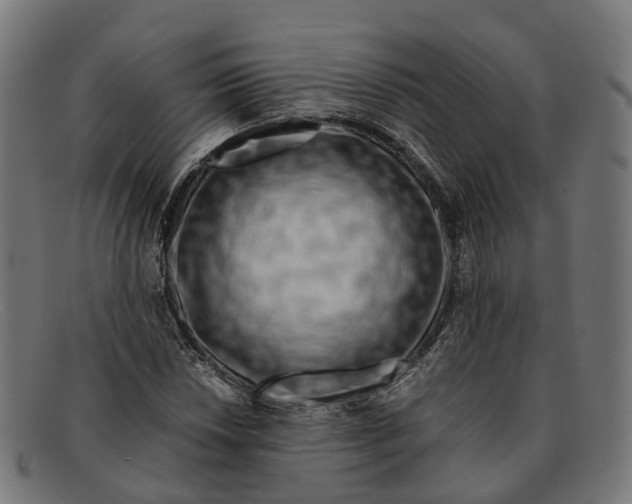 X0000091491018200709131826
