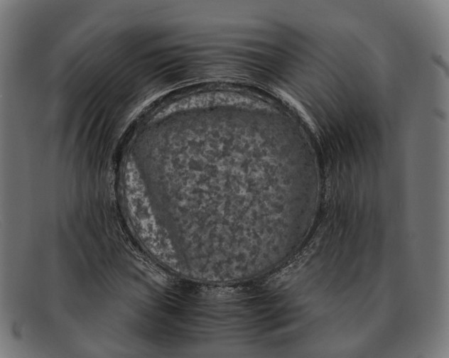 X0000091491019200709131826