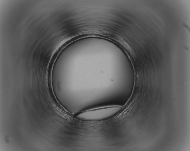 X0000091491020200709131826