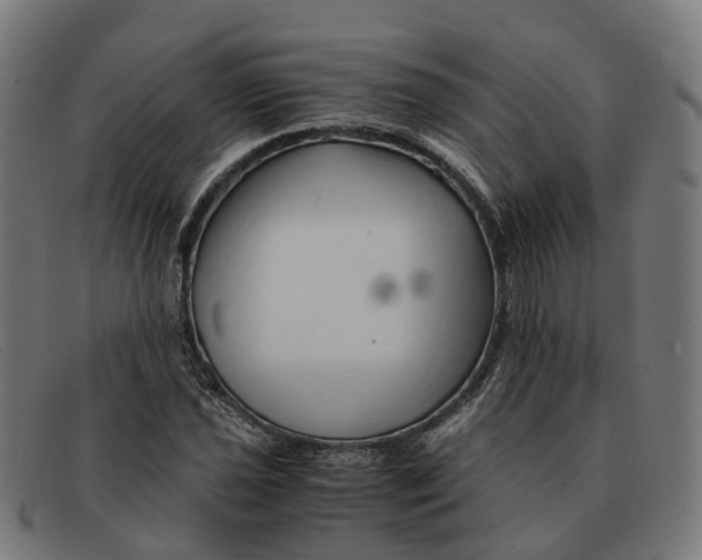 X0000091491021200709131826