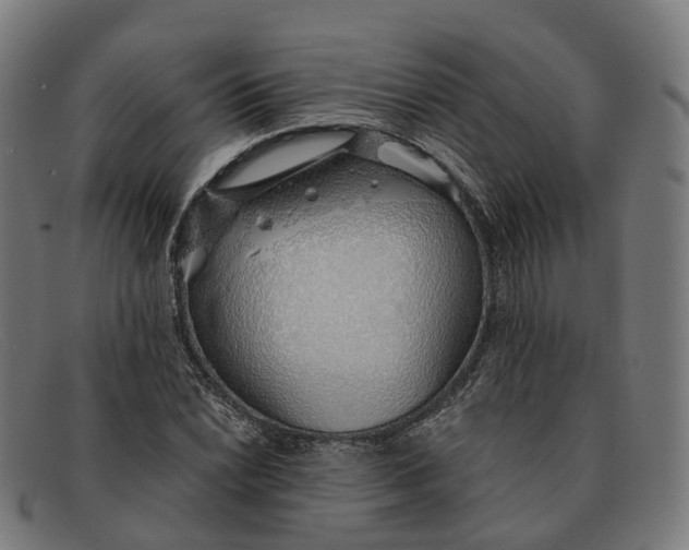 X0000091491022200709131826