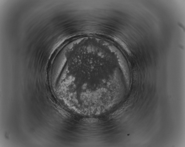 X0000091491023200709131826
