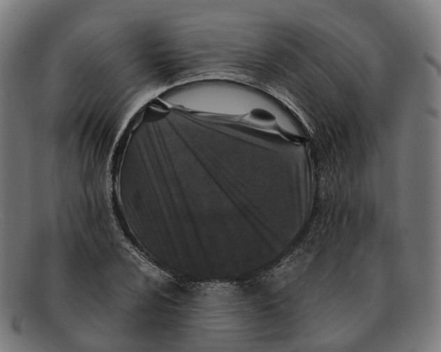 X0000091491024200709131826