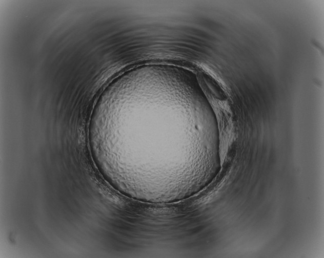 X0000091491025200709131826