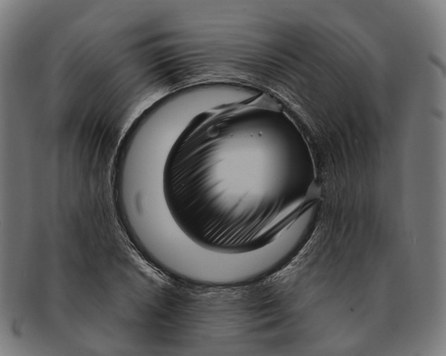 X0000091491026200709131826