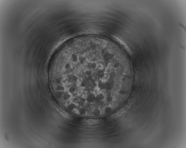 X0000091491027200709131826