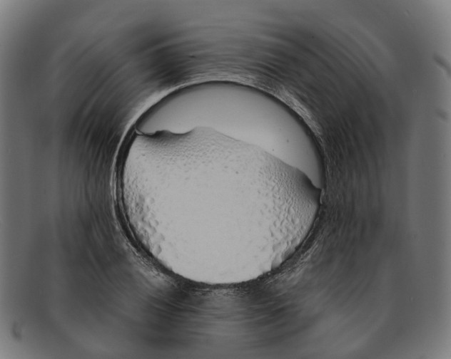 X0000091491028200709131826