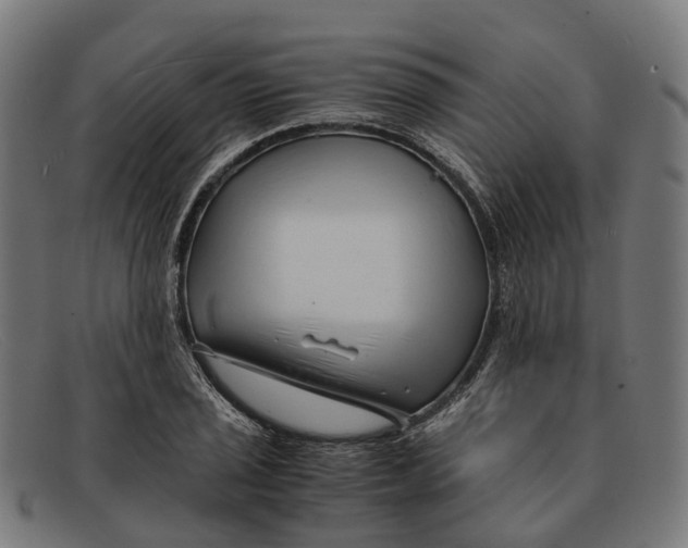 X0000091491029200709131826
