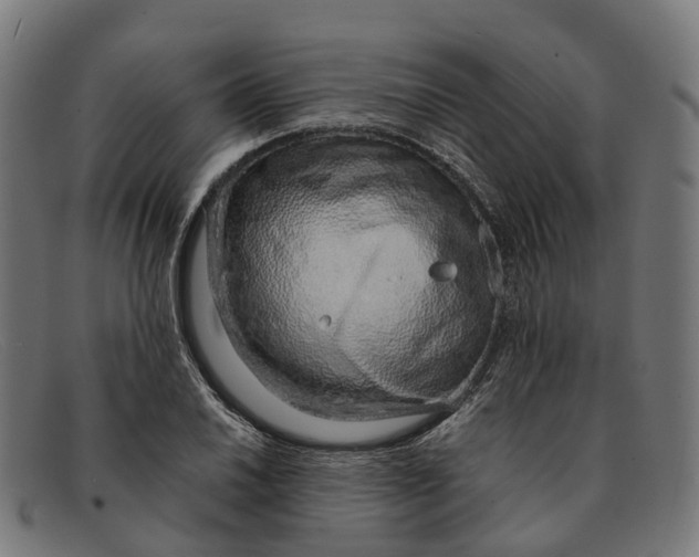 X0000091491030200709131826