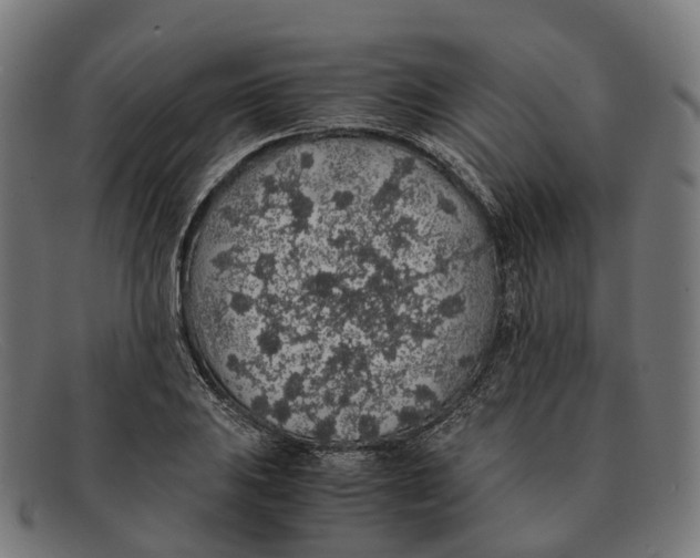 X0000091491031200709131826