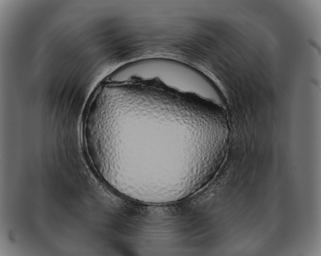 X0000091491032200709131826