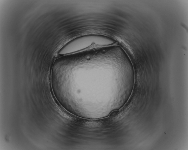 X0000091491033200709131826
