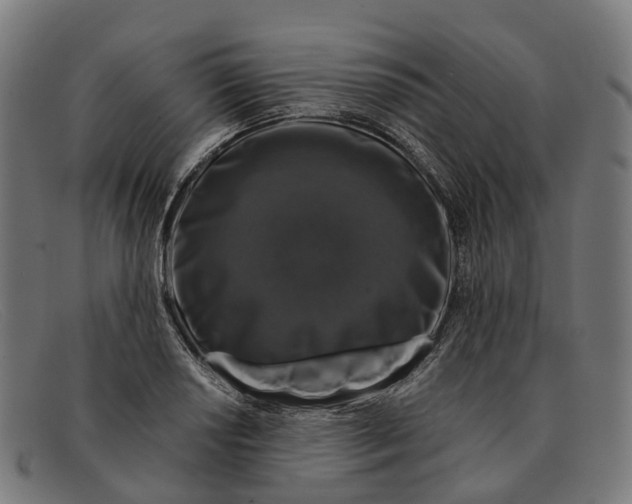 X0000091491034200709131826
