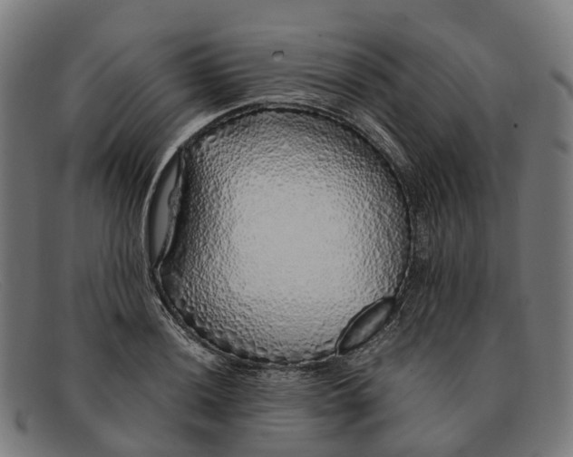 X0000091491036200709131827