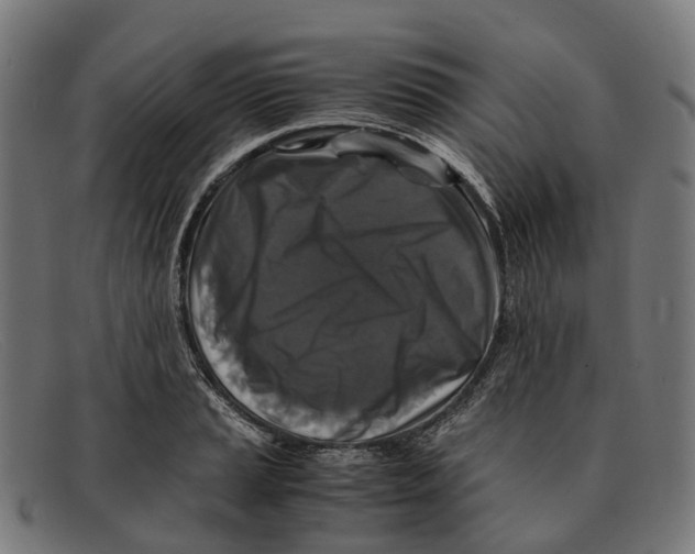 X0000091491037200709131827