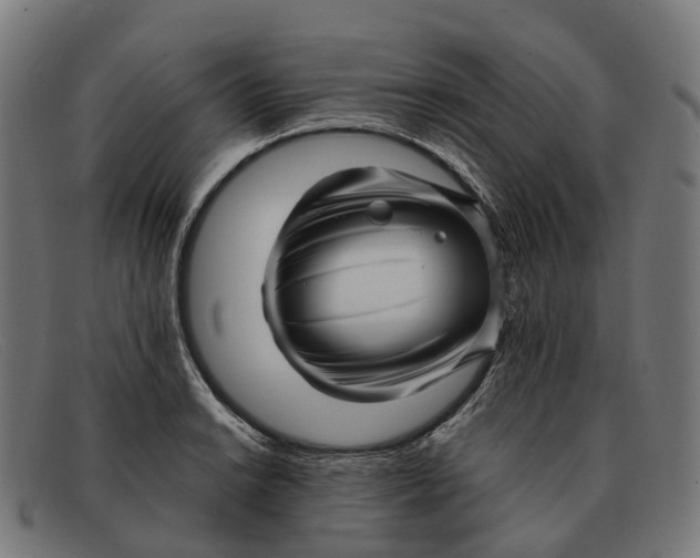 X0000091491038200709131827