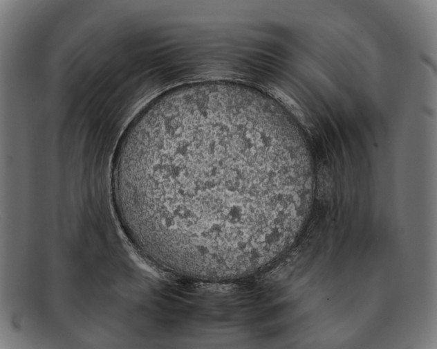 X0000091491039200709131827