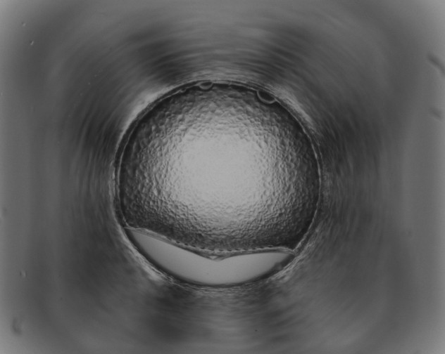 X0000091491040200709131827