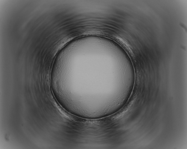 X0000091491041200709131827
