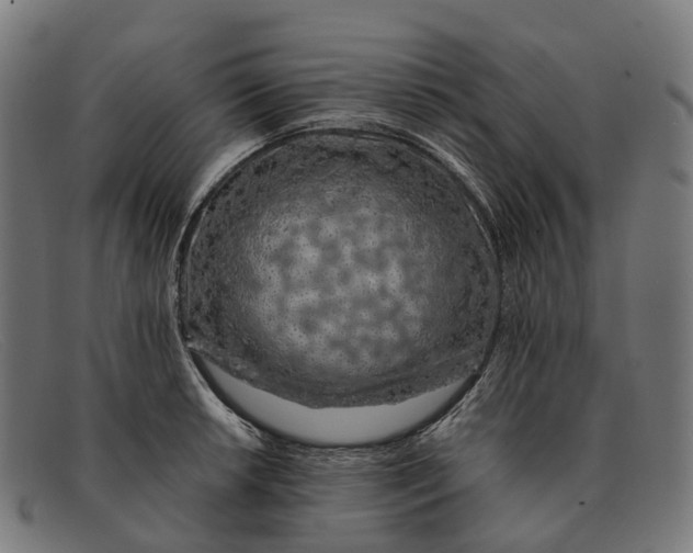 X0000091491042200709131827