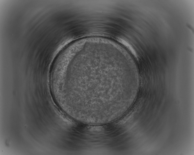 X0000091491043200709131827