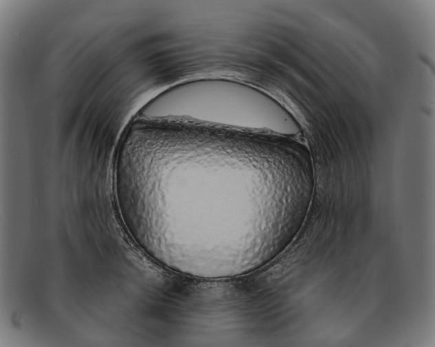 X0000091491044200709131827