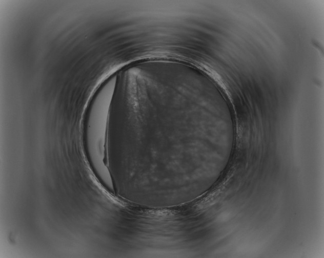 X0000091491045200709131827