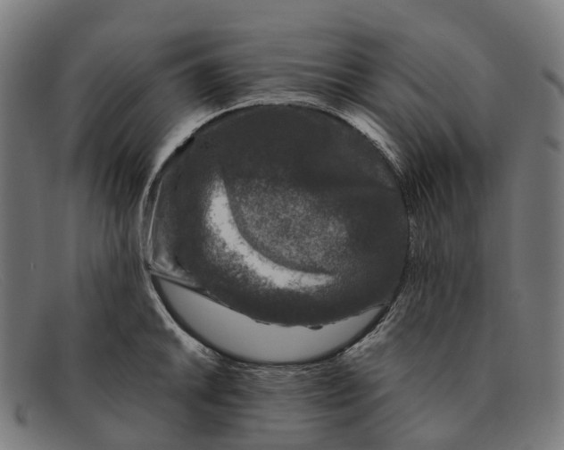 X0000091491046200709131827