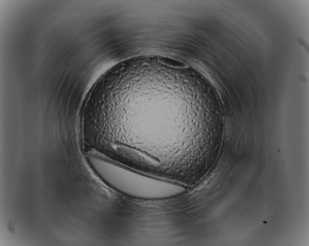 X0000091491048200709131827