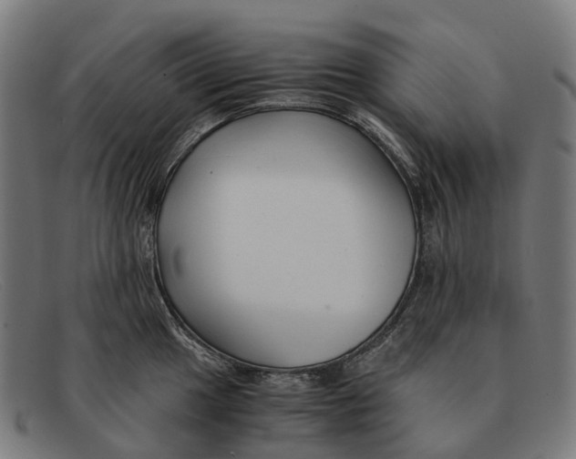X0000091491049200709131827