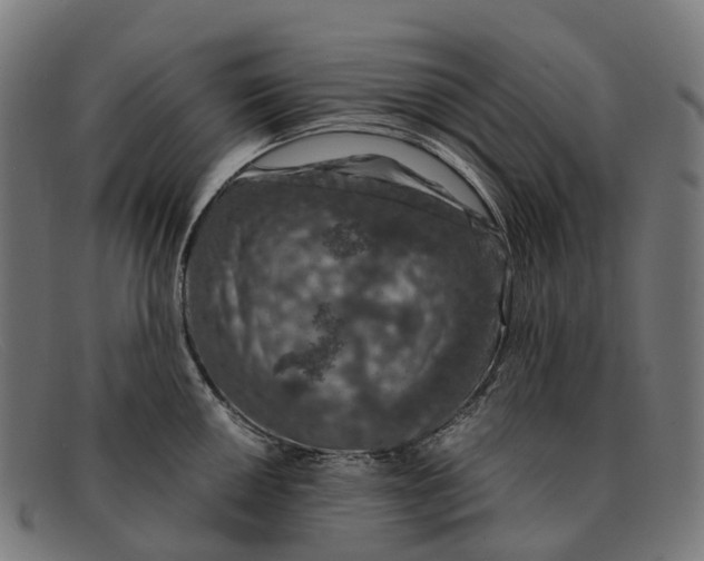X0000091491050200709131827