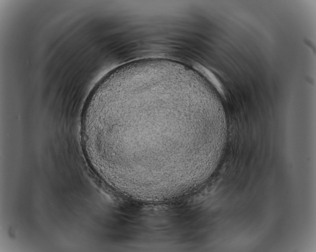 X0000091491051200709131827