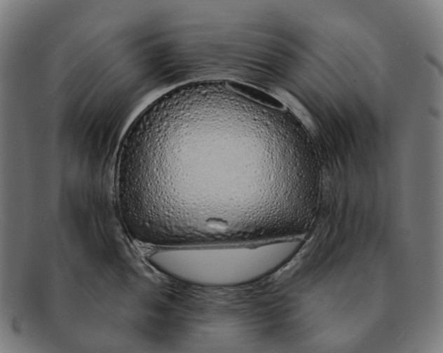 X0000091491052200709131827