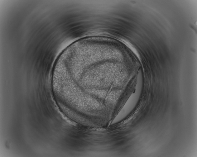 X0000091491053200709131827