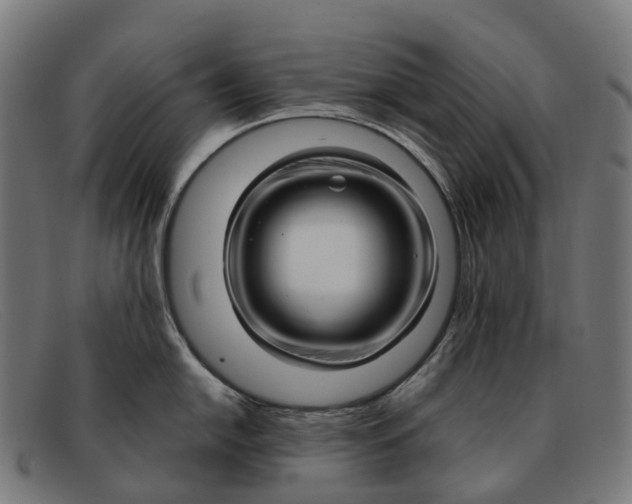 X0000091491054200709131827