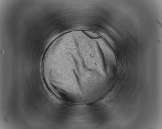 X0000091491055200709131827