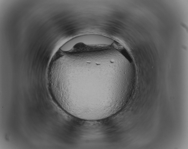 X0000091491056200709131827