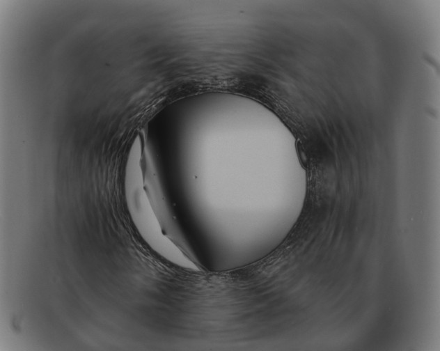 X0000091491058200709131826