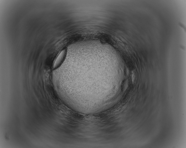 X0000091491059200709131826