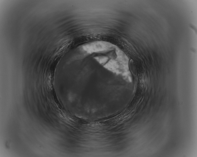 X0000091491060200709131826