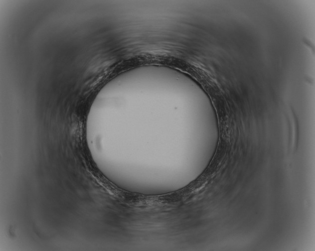 X0000091491061200709131826