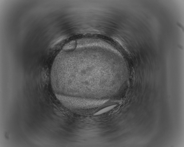 X0000091491063200709131826