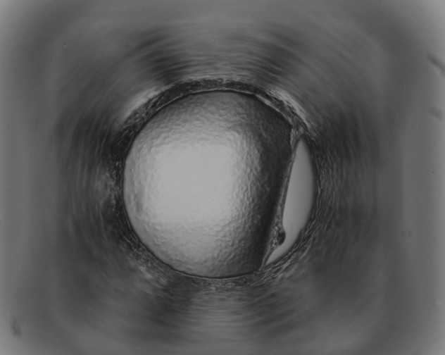 X0000091491064200709131826