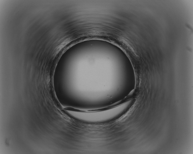 X0000091491065200709131826