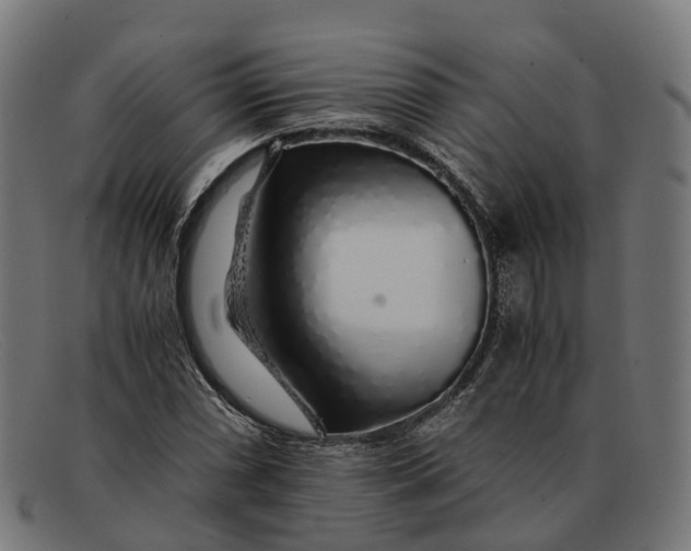 X0000091491066200709131826