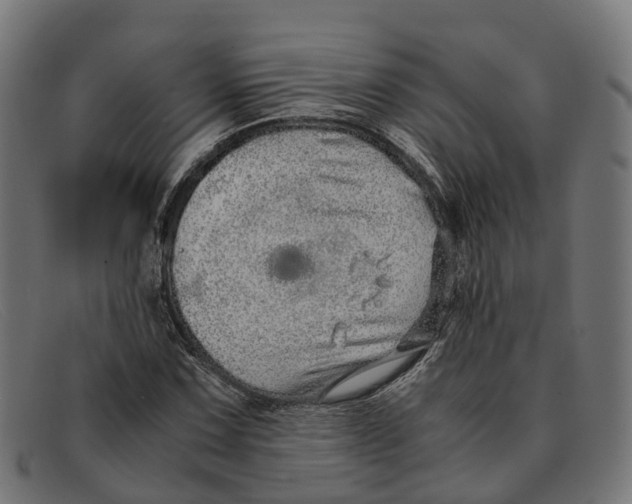 X0000091491067200709131826