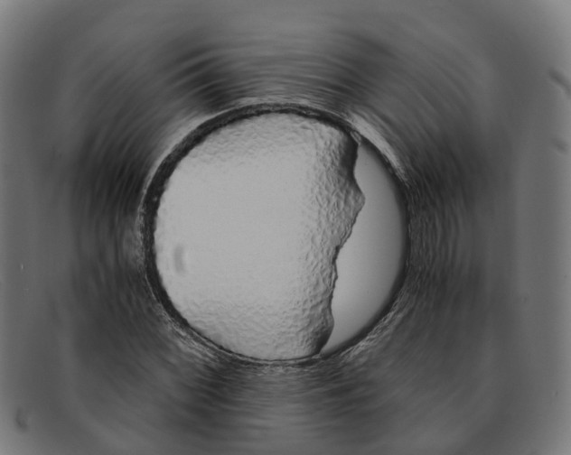 X0000091491068200709131826