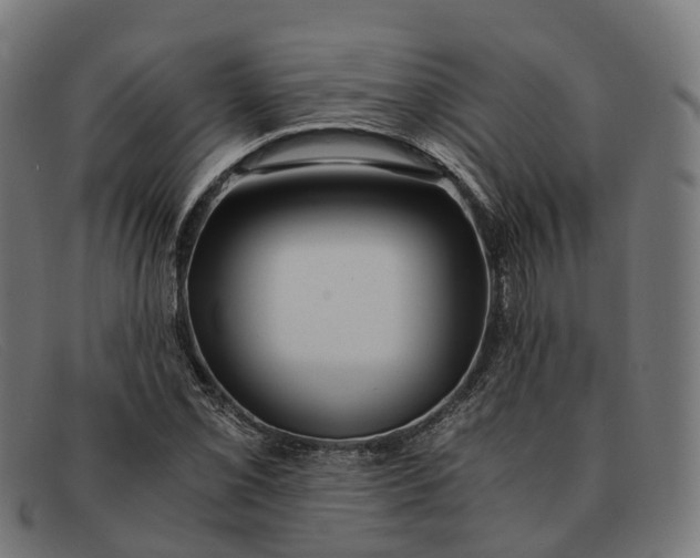 X0000091491069200709131826