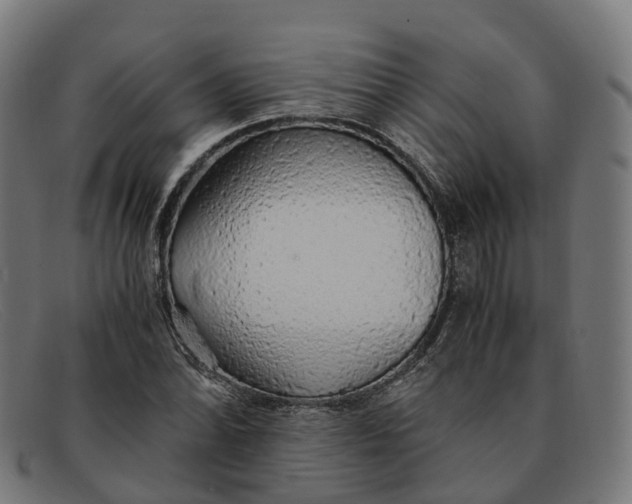 X0000091491070200709131826