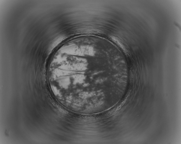 X0000091491071200709131826